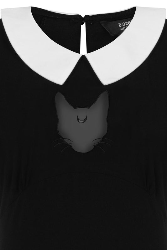 Close up of cat head mesh panel on chest with white collar.